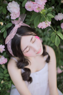 花戎电视剧免费观看全集在线播放